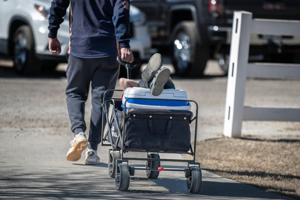 Chariot isotherme :transportez facilement vos produits frais